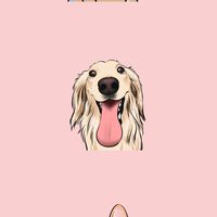 狗皇帝毛孩雜貨舖🐶🐈