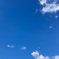 岩手県在住  50歳以上のゆる〜くてのんびりとした雑談部屋