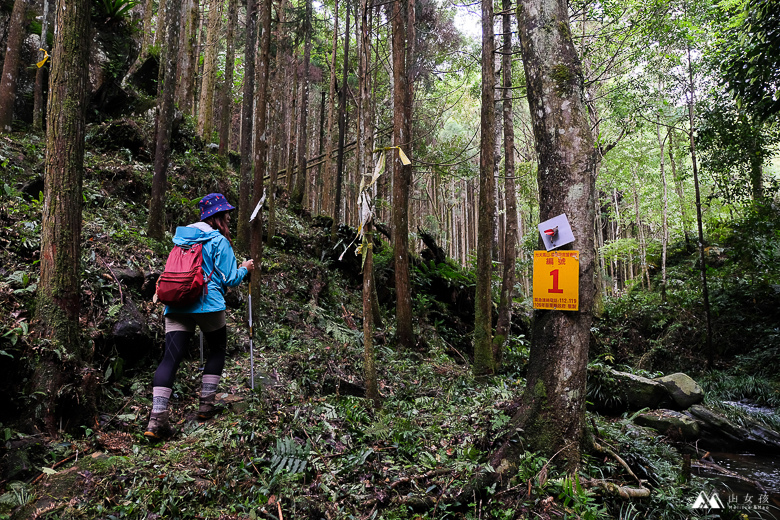 山女孩Melissa_苗栗南庄_向天湖山_飛機殘骸_三角湖山-6691.jpg