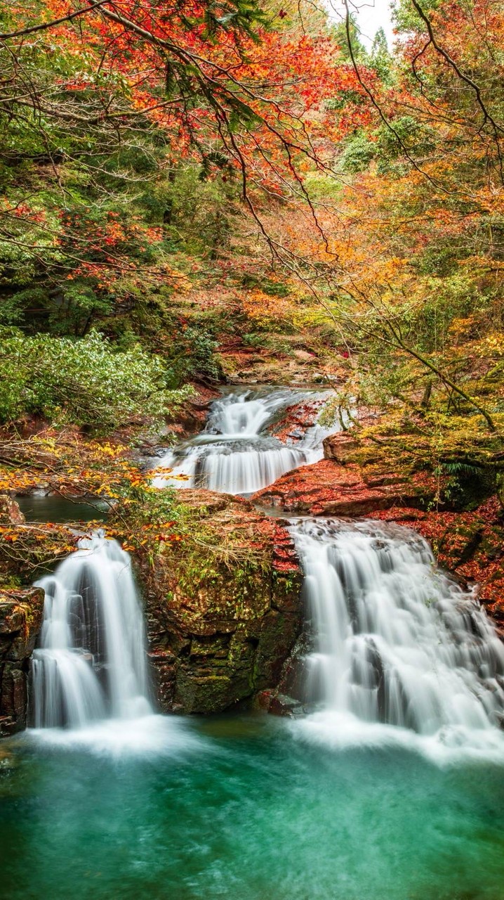 学生限定わいわい話そやぁぁぁぁぁぁ