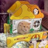 xin波利鼠🐹蹲鼠社團