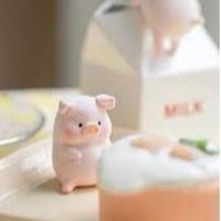 豬の小舖—健康保養站