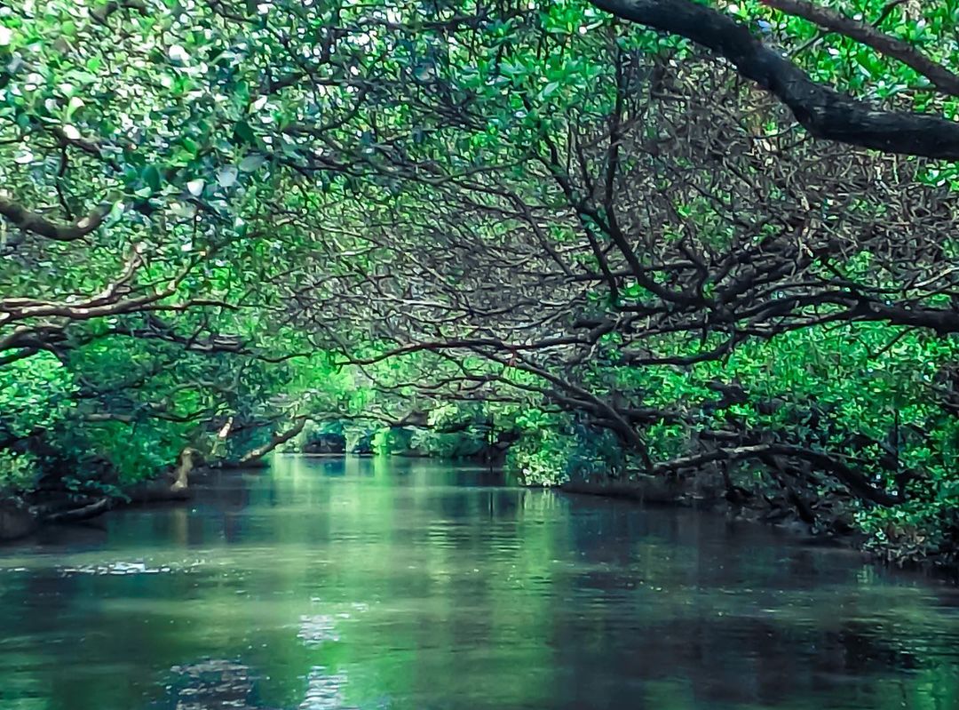 四草隧道 @eunice811218