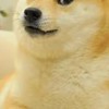 雑談する会（雑談、ロブロのゲームの仲介もするよ）