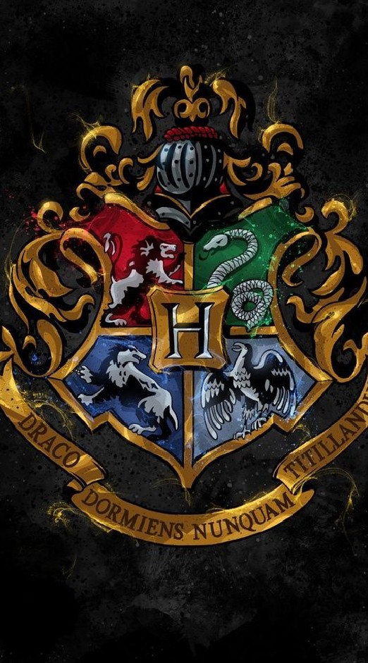 Hogwarts magic school oc roleplay