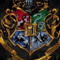 Hogwarts magic school oc roleplay