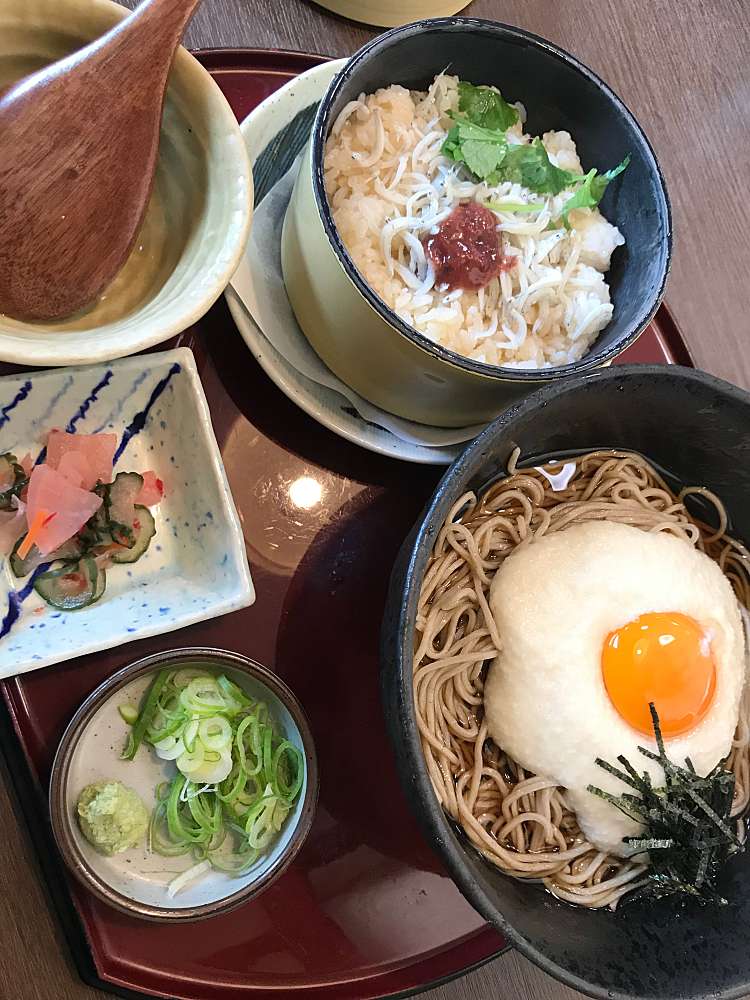 メニュー 和食麺処サガミ 岸和田店 ワショクメンドコロサガミ キシワダテン 三田町 和泉中央駅 和食 日本料理 By Line Place