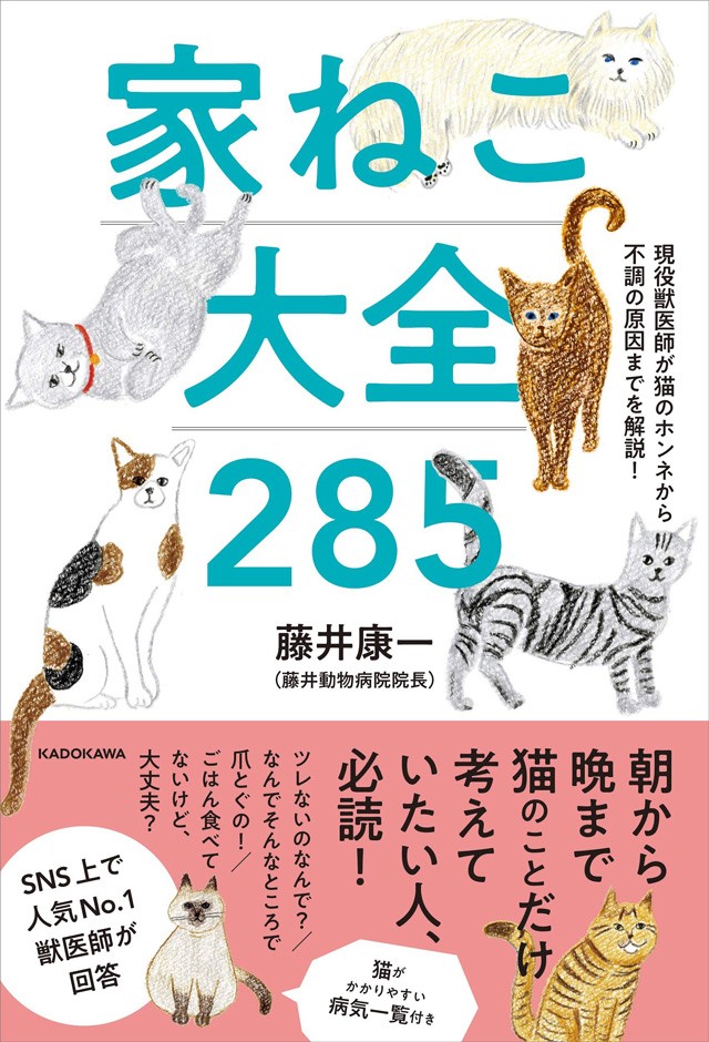 キシリトールは危険です 知っておきたい 猫に食べさせてはいけないもの 家ねこ大全 13