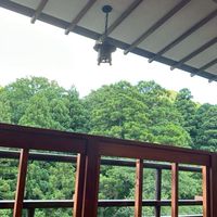 歌枠、雑談、深夜枠、ライト、なんでもあり