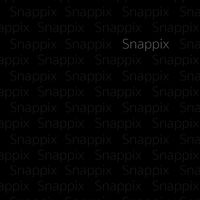 SNAPPIX COMMUNITY