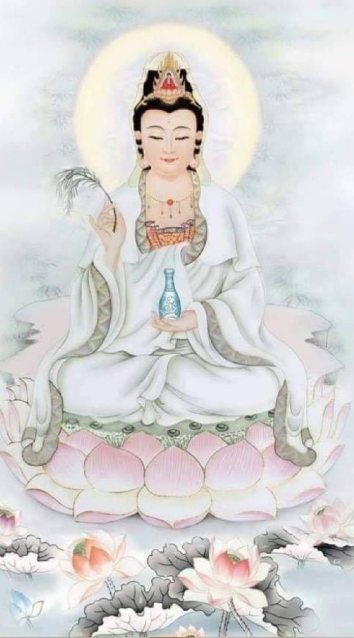 夢幻紫玫瑰星河@
