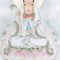 夢幻紫玫瑰星河@