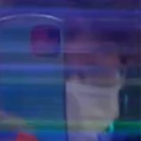 玲奈復活記念祭典