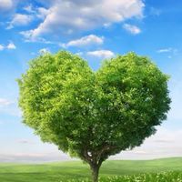 不安症HSP🍀楽しく♪心のよりどころ🍀