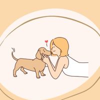 萌寵當家🐕狗狗寵物分享交流區/狗/柴犬/博美/貴賓/柯基/哈士奇/法鬥/黃金獵犬/狐狸犬/友善餐廳