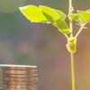 幸福素植社群1