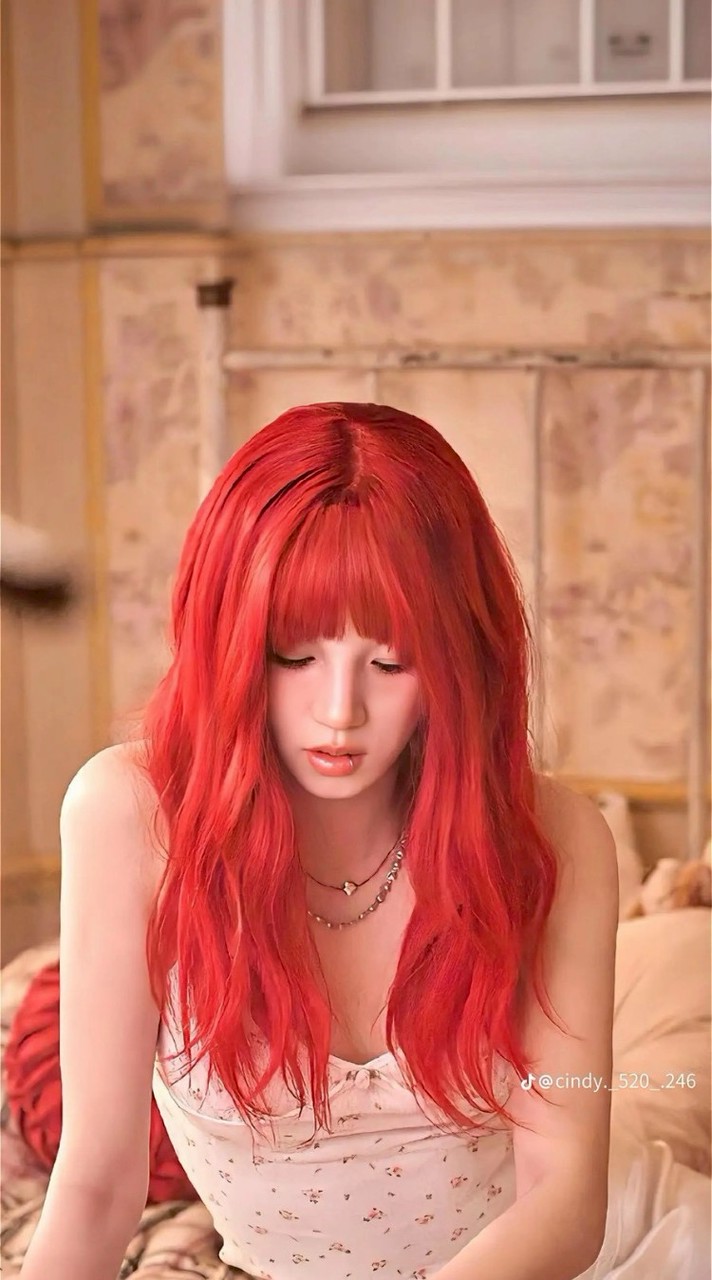 🫶星像觀測站🫶