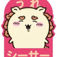 たまひよ7月 沖縄🌺