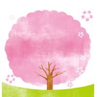 【福岡】お花見＆開花情報🌸写真＆スポット/ 桜 さくら 梅 ウメ 春