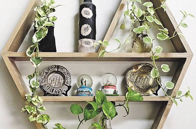 Rapi dan Segar! 4 Kiat Menata Tanaman dengan Cantik