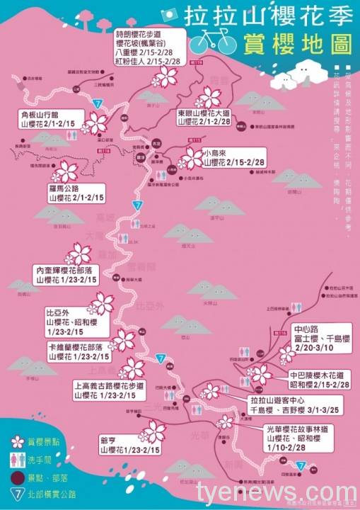 活動訊息 北橫櫻花季 賞花地圖 桃園電子報 Line Today