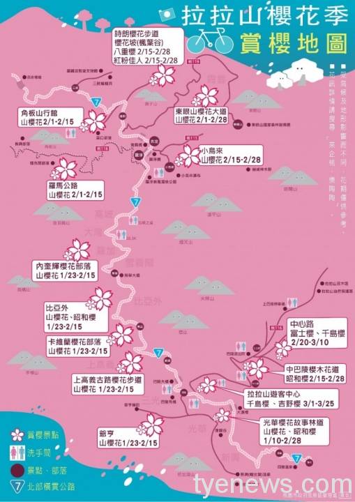 活動訊息 北橫櫻花季 賞花地圖 桃園電子報 Line Today