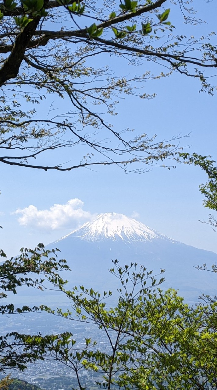 ごぼうだらけ　食の安全　その他色々