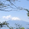 ごぼうだらけ　食の安全　その他色々