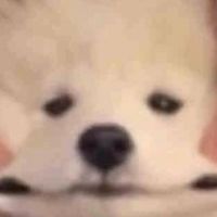 วง