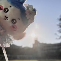 Fukuoka代購群