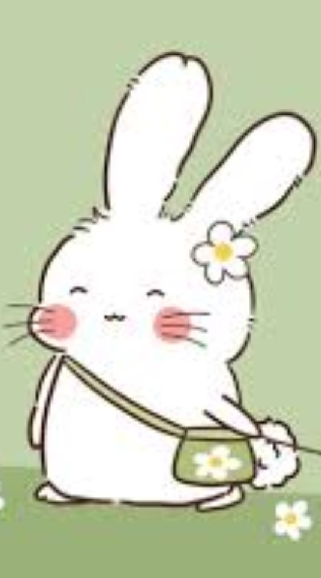 แรบบิท จัง  สินค้าราคาส่ง