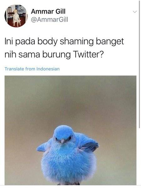 8 Twit Kocak Logo Burung Twitter & Traveloka, Bikin Senyum Kecut!