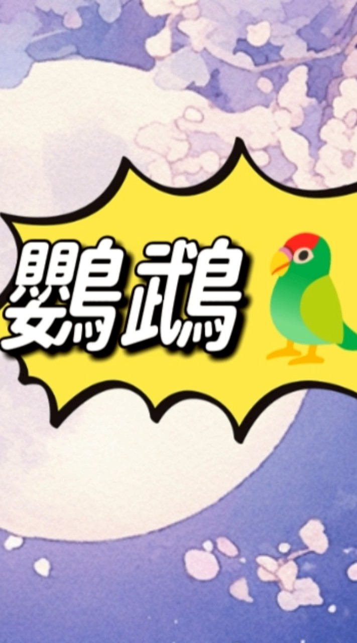 🦜鸚鵡寶庫-專營    鸚鵡玩具/木塊/配件/住宿（桃園區-零售批發）