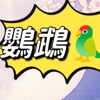 🦜鸚鵡寶庫-專營    鸚鵡玩具/木塊/配件/住宿（桃園區-零售批發）
