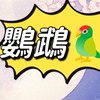 🦜鸚鵡寶庫-專營    鸚鵡玩具/木塊/配件/住宿（桃園區-零售批發）