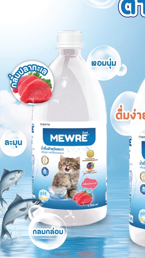 MEWRE PET WELLNESS