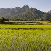 ร้านค้าสนามโดร่มเขาจีนแล