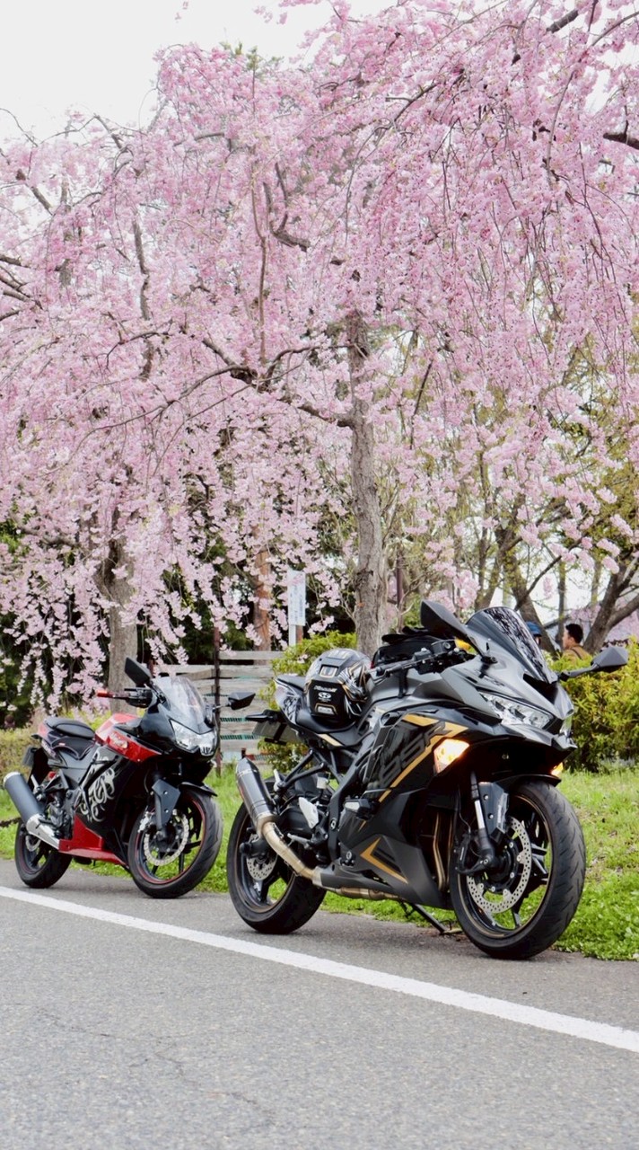 【さ組】新潟県バイクツーリングの集い🏍️