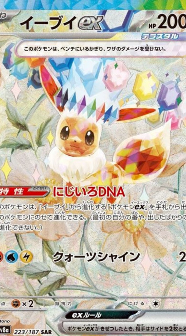 ブイズ同好会及びポケカプレイヤーの集い