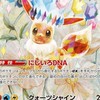 ブイズ同好会及びポケカプレイヤーの集い