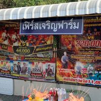 เฟิร์สเจริญฟาร์ม