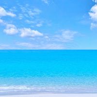 ちむどん沖縄情報局
