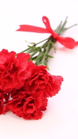 亡くなったお母さんのことを話すチャット💐