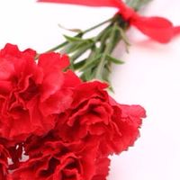 亡くなったお母さんのことを話すチャット💐