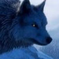 The wolf