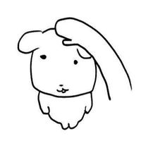 螃蟹代購群