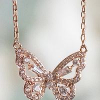 104🦋蝴蝶🦋幽谷（科營組）