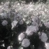君に贈る花は ＊ 緩全