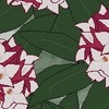 沈 丁 花 ＊ 緩 全 ❕