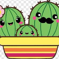 แคคตัส 📦ราคาถูก🌵🐢By Bew Shop